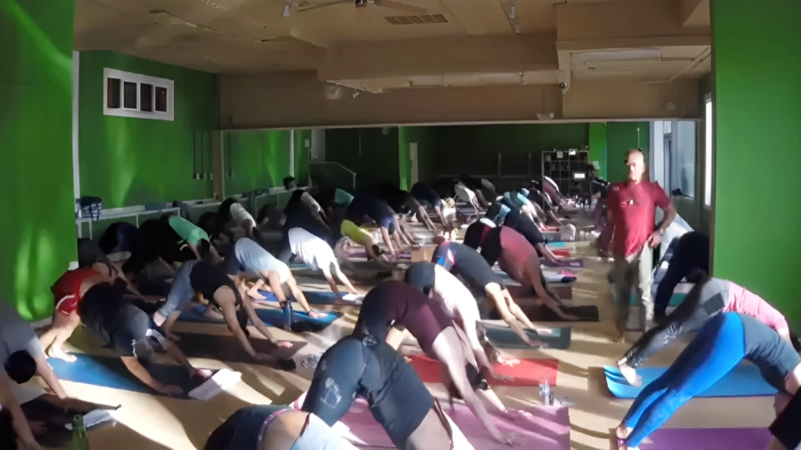 A full class in downward dog in a green studio, Barry at the front